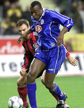 养的丰硕成 养的丰硕成